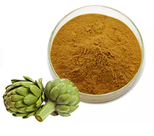 Artichoke Extract 